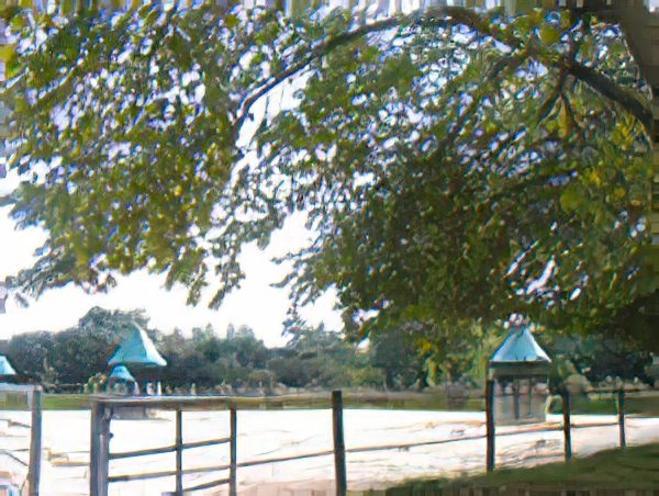 Haras De Conques Elevage De Chevaux Bordeaux Img 2 