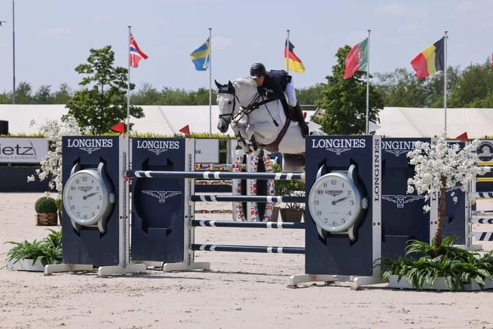 Haras De Conques Elevage De Chevaux Bordeaux CROQSEL StGALL 2023 1
